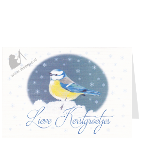 Kerstkaart pimpelmeesje in de sneeuw